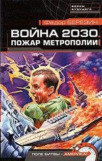 Федор Березин - Война 2030. Пожар Метрополии