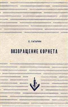 Евгений Гагарин - Возвращение корнета. Поездка на святки