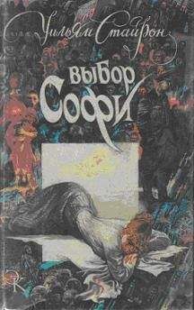 Уильям Стайрон - Выбор Софи