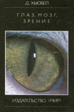 Дэвид Хьюбел - Глаз, мозг, зрение