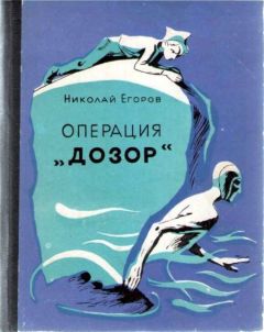 Николай Егоров - Операция «Дозор»