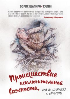 Борис Шапиро-Тулин - Происшествие исключительной важности, или Из Бобруйска с приветом