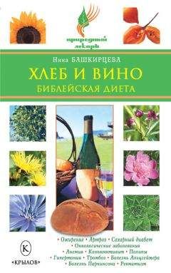 Нина Башкирцева - Хлеб и вино. Библейская диета