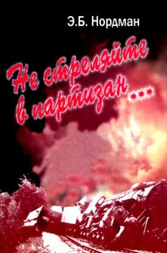 Эдуард Нордман - Не стреляйте в партизан…