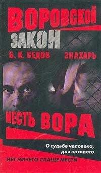 Борис Седов - Месть вора