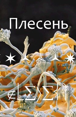 Плесень (СИ) - "Майский День"