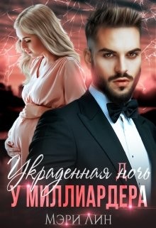 Украденная ночь у миллиардера  - Лин Мэри