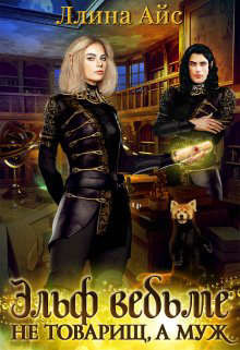 Эльф ведьме не товарищ, а муж  - Айс Ллина
