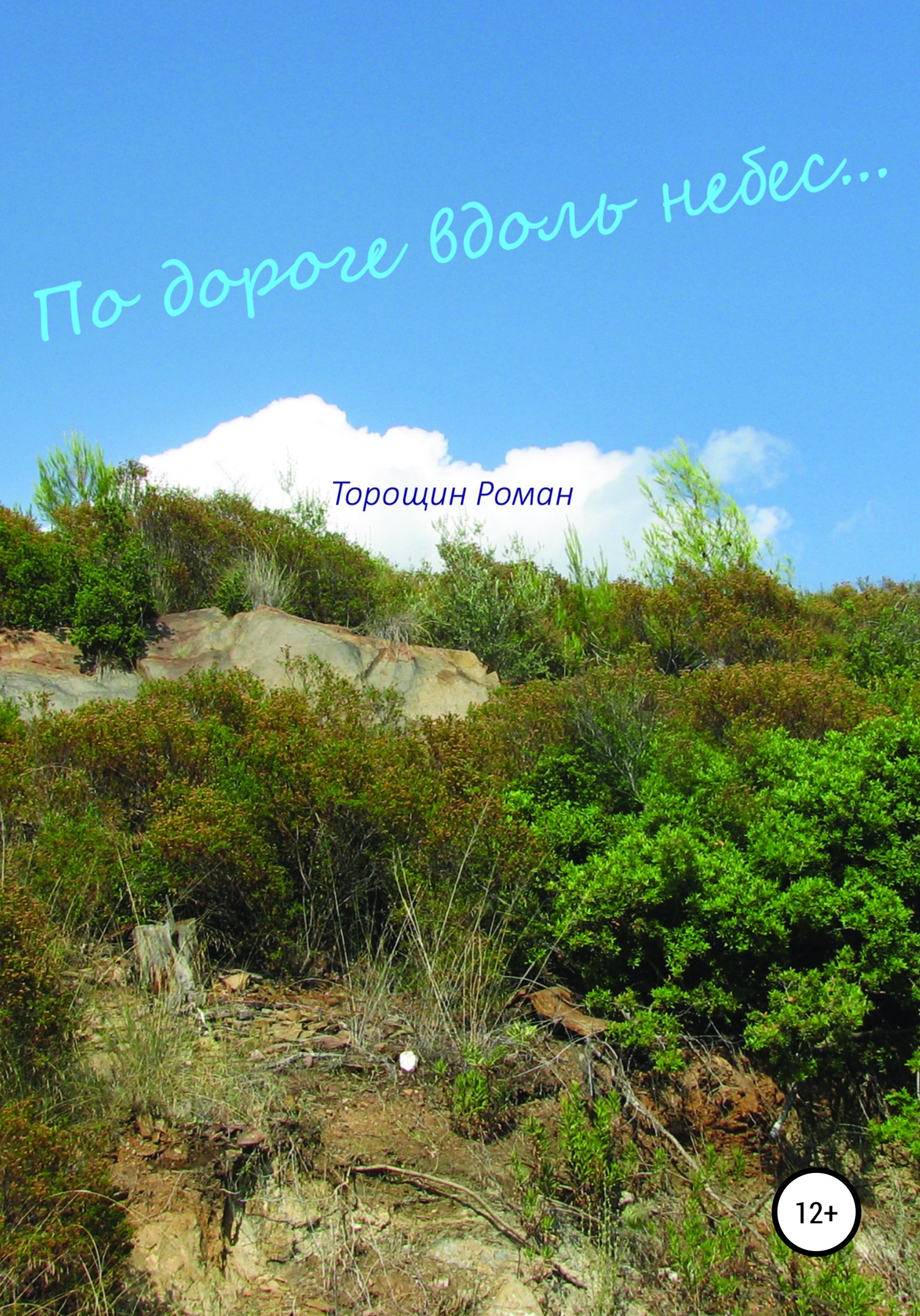 По дороге вдоль небес - Роман Владимирович Торощин