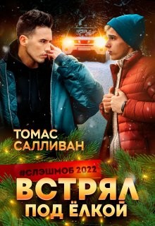 Встрял под ёлкой  - Салливан Томас