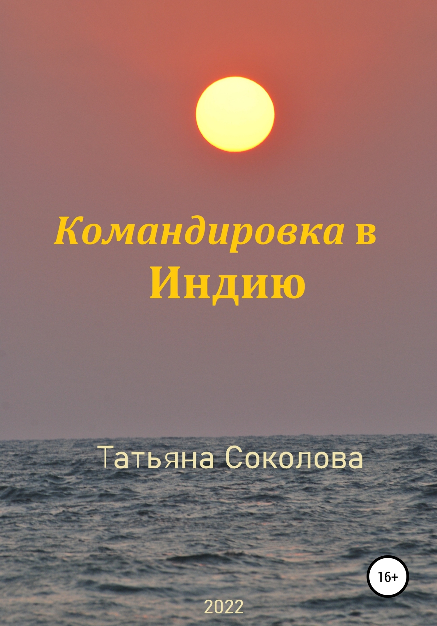Командировка в Индию - Татьяна Николаевна Соколова