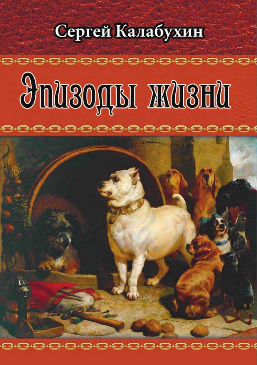 Эпизоды жизни - Сергей Калабухин