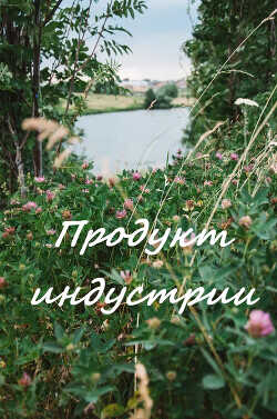 Продукт индустрии  - "Light_and_Shadow"