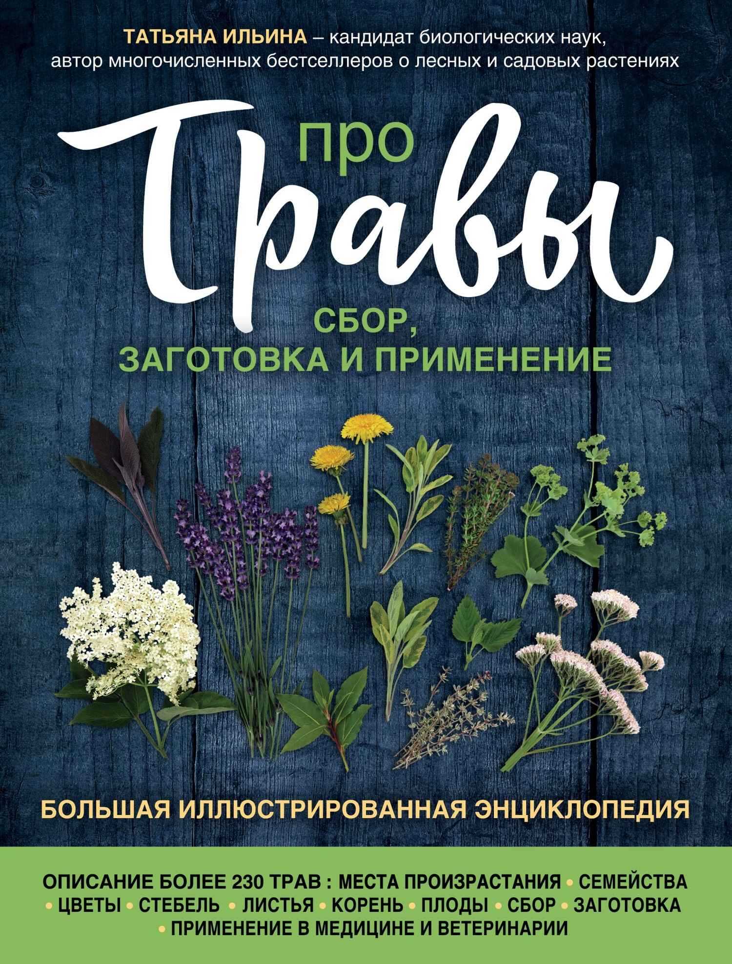 Про травы. Сбор, заготовка и применение. Большая иллюстрированная энциклопедия - Татьяна Александровна Ильина