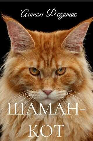 Шаман-Кот - Антон Сергеевич Федотов