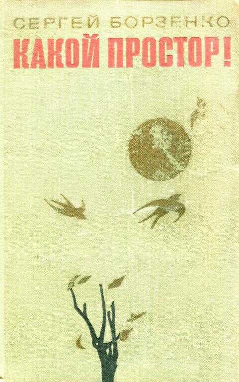 Какой простор! Книга вторая: Бытие - Сергей Александрович Борзенко