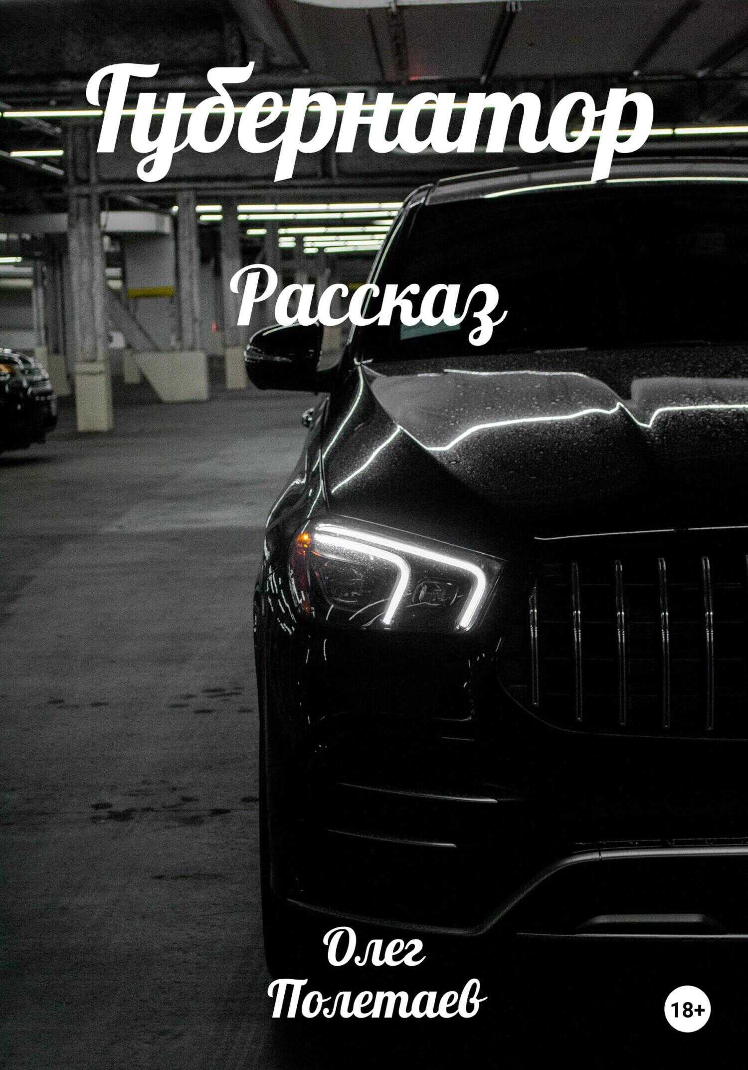 Губернатор - Олег Юрьевич Полетаев