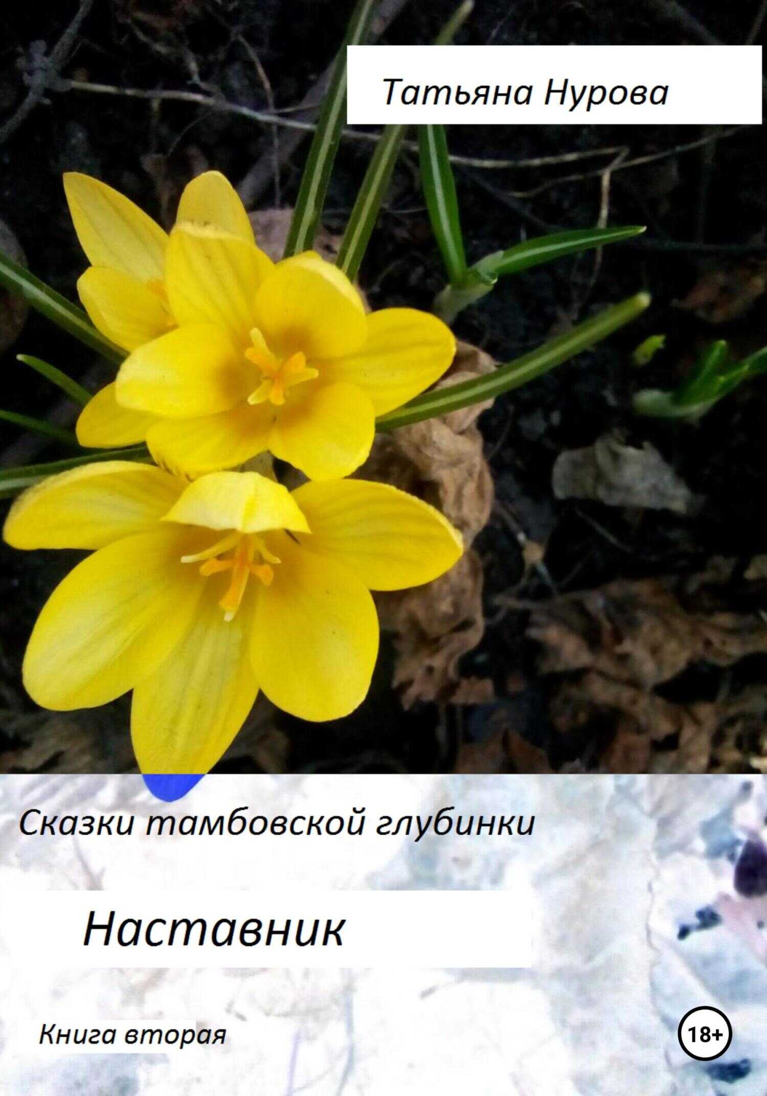 Сказки тамбовской глубинки. Вторая книга. Наставник - Татьяна Анатольевна Нурова