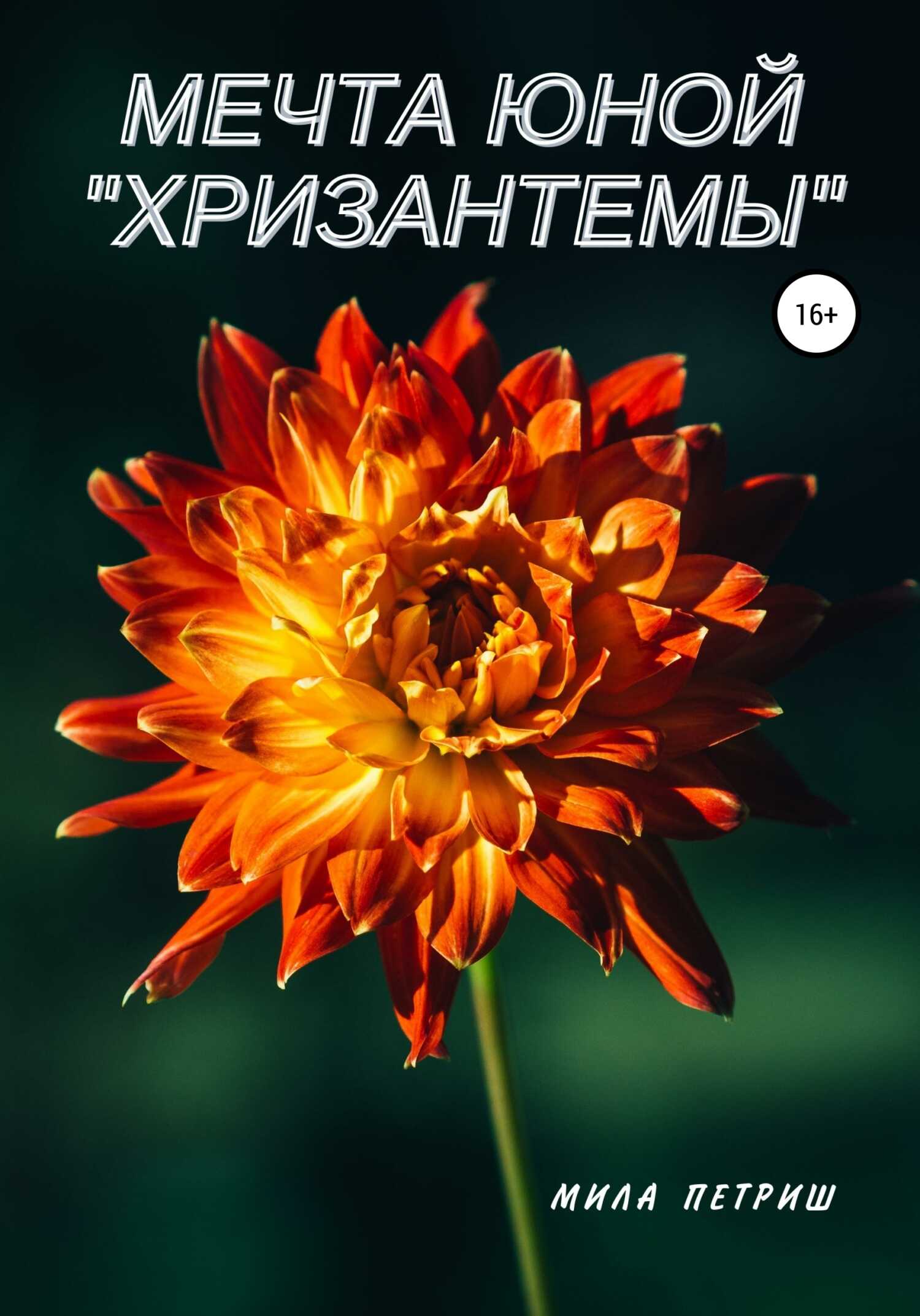 Мечта юной «Хризантемы» - Мила Петриш