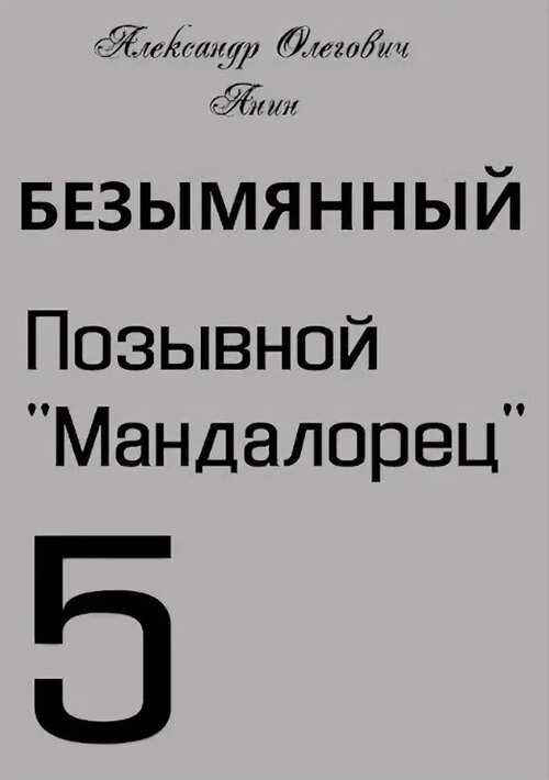 Позывной «Мандалорец» - Александр Олегович Анин