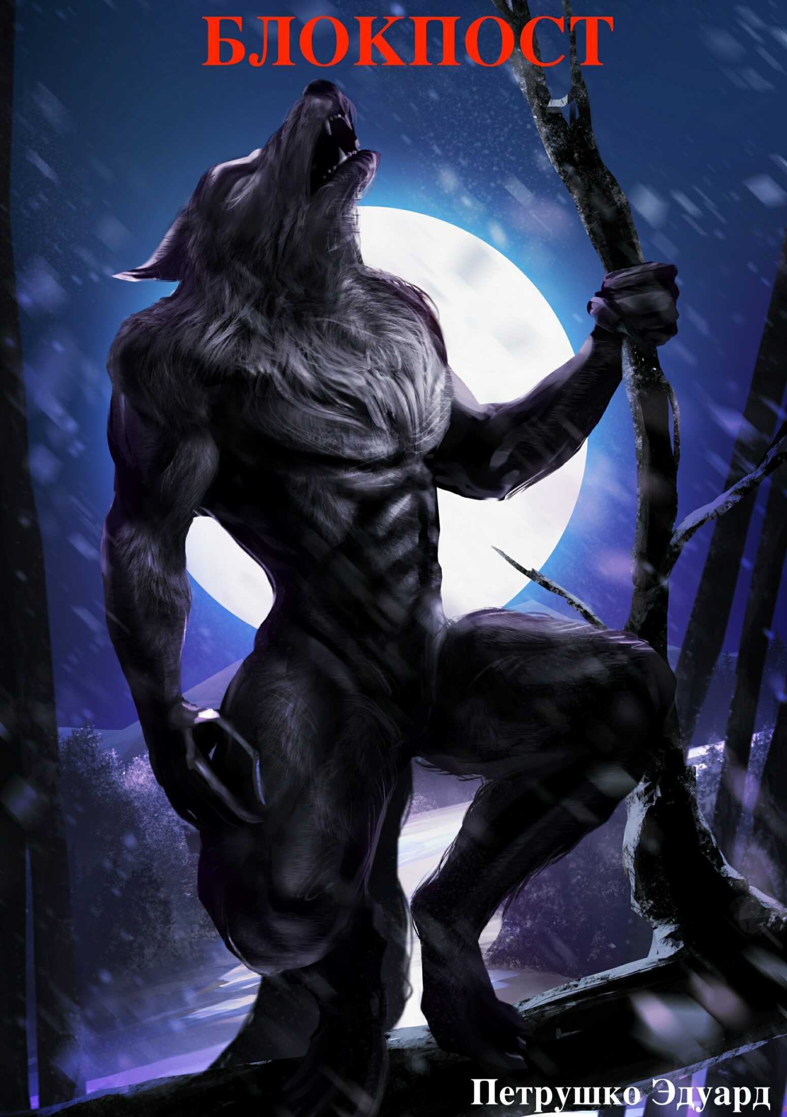 Блокпост - Эдуард Павлович Петрушко