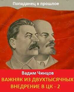 Внедрение в ЦК 2  - Чинцов Вадим Владимирович