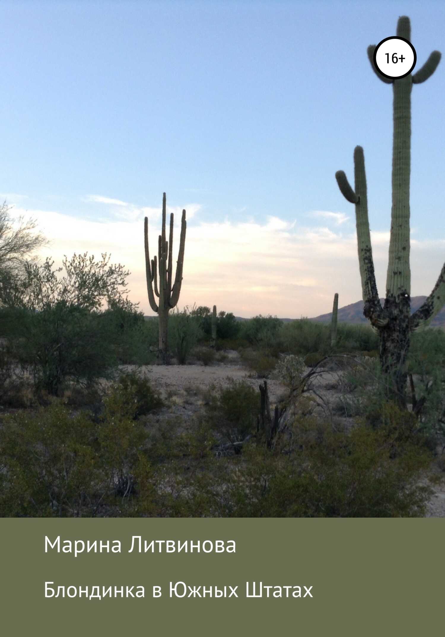 Блондинка в Южных Штатах - Марина Дмитриевна Литвинова