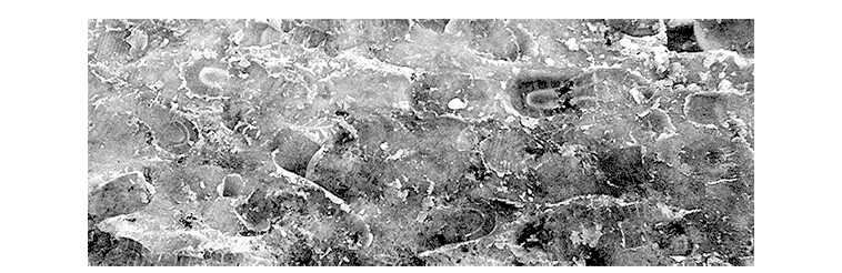 Вторая симфония Малера - Евгений Владимирович Сапожинский