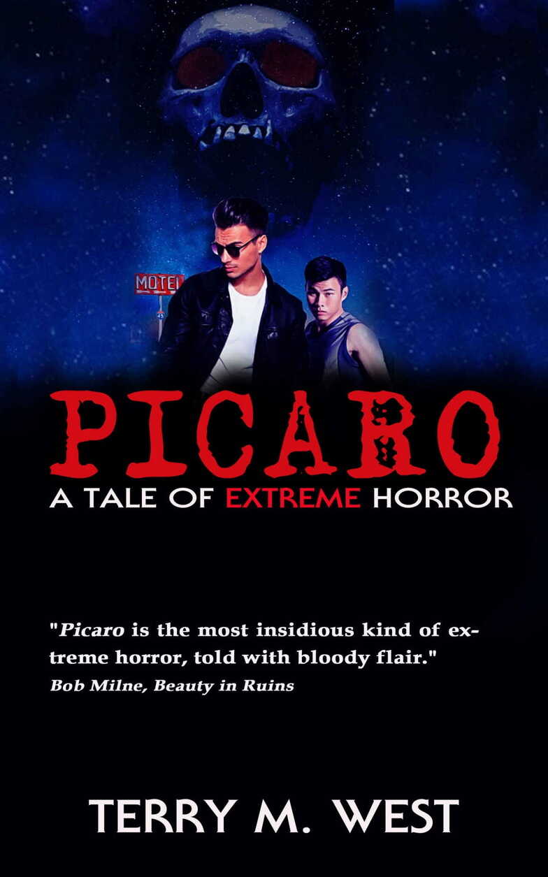 Пикаро - Терри М. Уэст