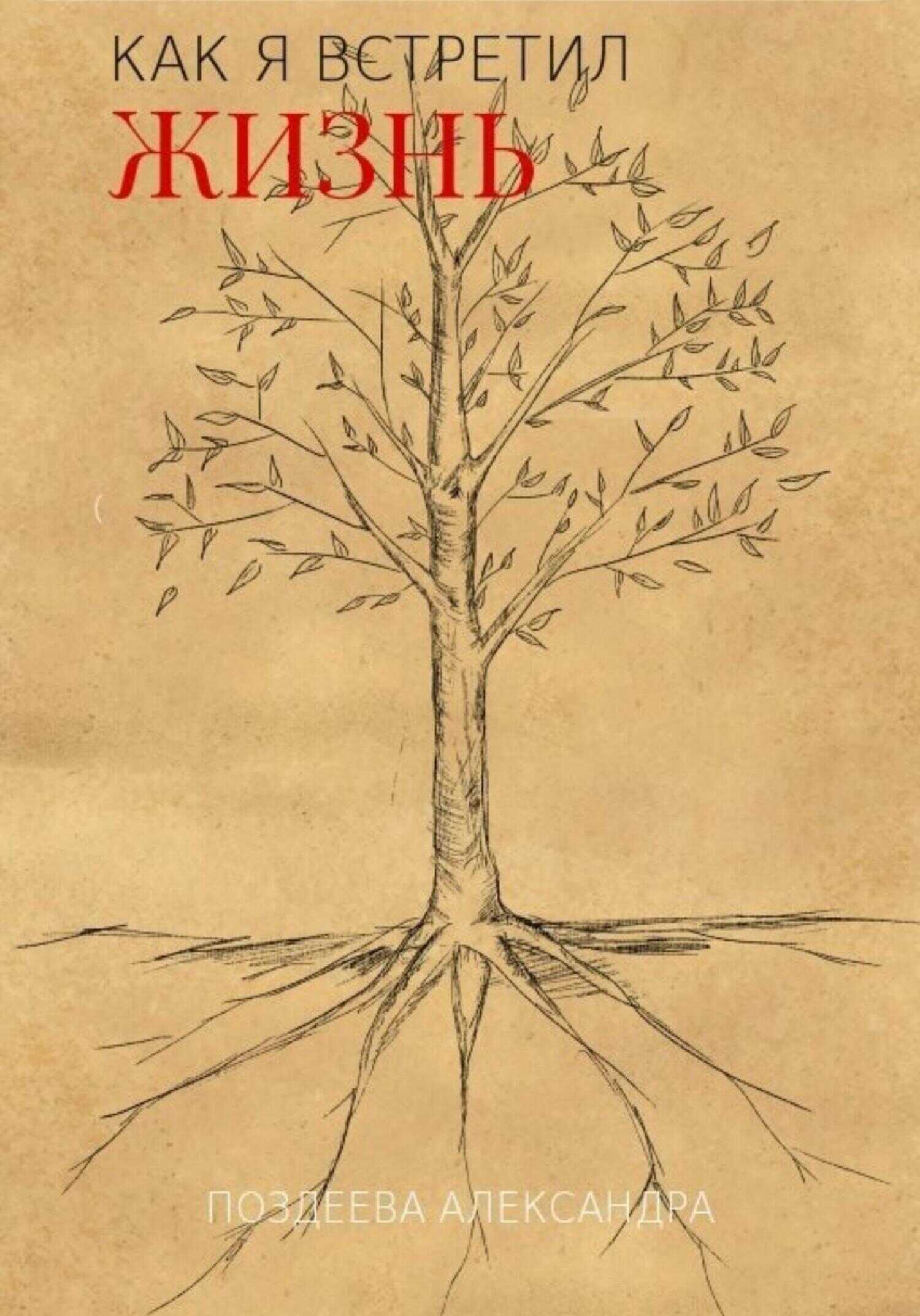 Как я встретил жизнь - Александра Андреевна Поздеева