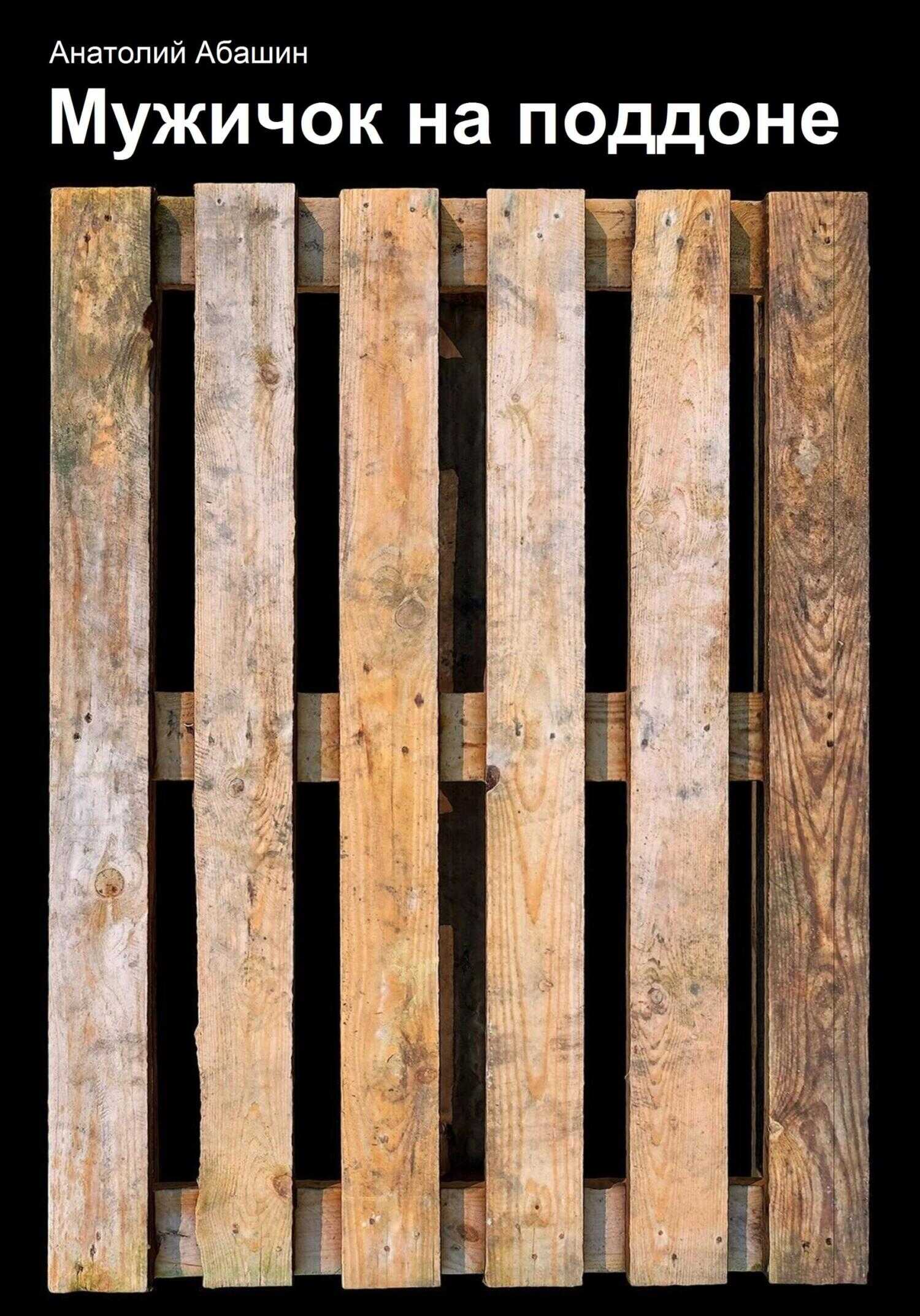 Мужичок на поддоне - Анатолий Валентинович Абашин