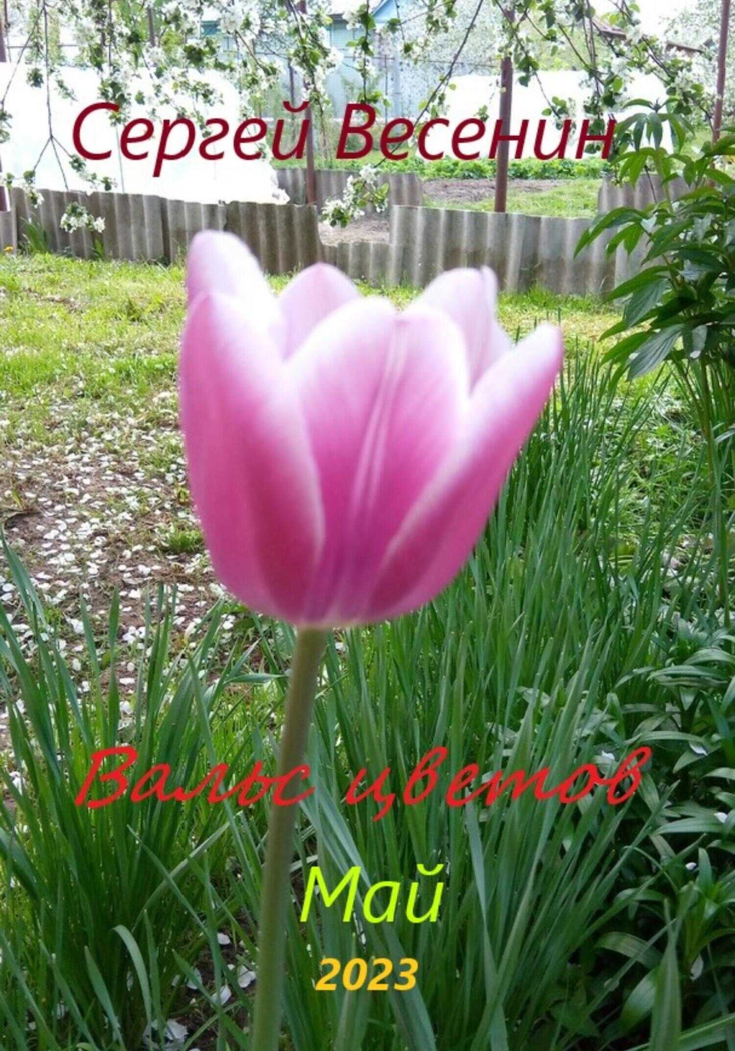 Вальс цветов - Сергей Весенин