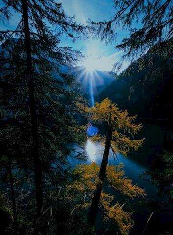 Баламут-3 - Василий Горъ