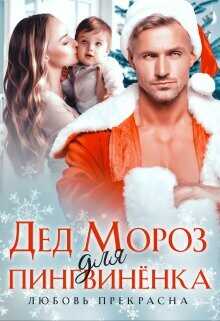 Дед Мороз для пингвиненка  - Прекрасна Любовь