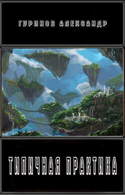 Типичная Практика  - Гуринов Александр
