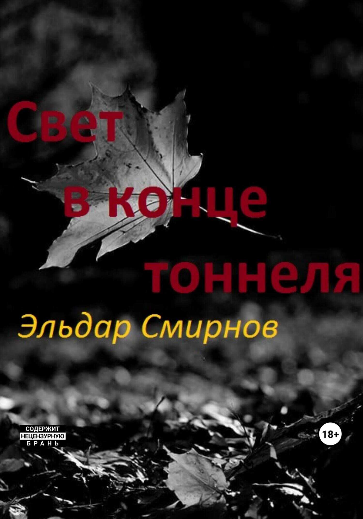 Свет в конце тоннеля - Эльдар Cмирнов