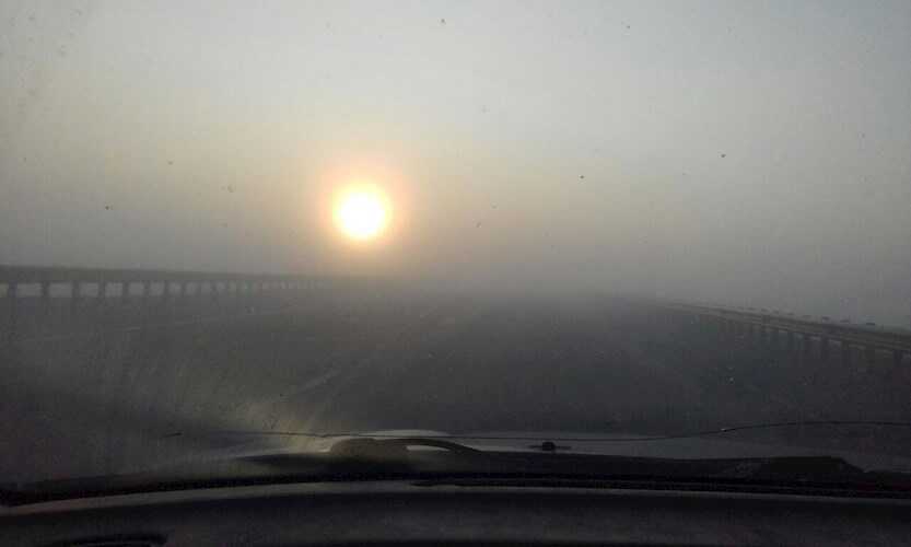 Туман - Клименко Тимофей