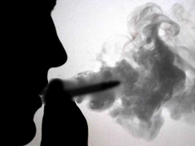 Парк - Клименко Тимофей