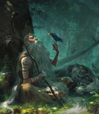 Друид, Гарри и не канон - Сергей Голдерин