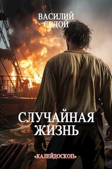 Случайная жизнь - Василий Седой