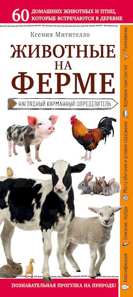 Животные на ферме. Наглядный карманный определитель - Ксения Борисовна Митителло