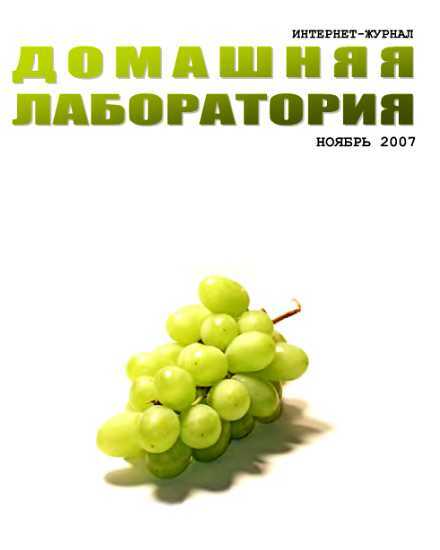 Интернет-журнал "Домашняя лаборатория", 2007 №11 - Журнал «Домашняя лаборатория»