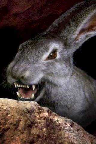 Иномирцам вход воспрещен. Том 8 - Дмитрий Дорничев