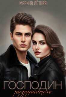 Господин Разрушитель  - Марина Лётная