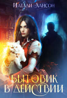 Бытовик в действии  - Лансон Натали