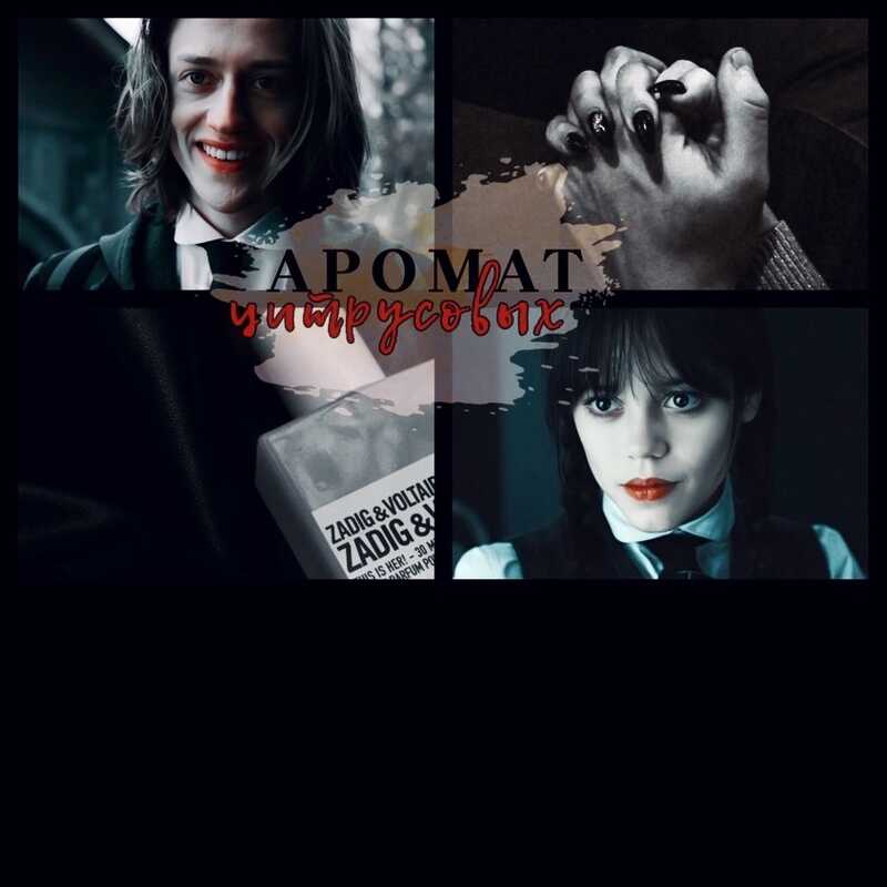 Аромат цитрусовых  - Соло