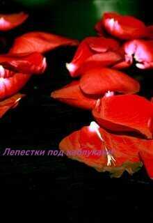 Лепестки под каблуками  - Awelina