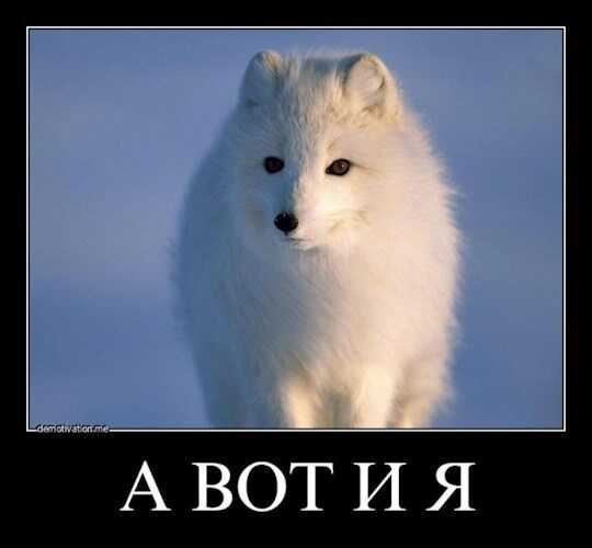 Мир новый проблемы старые. И главная - выжить - Ногицуне