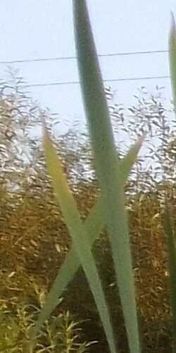 Москва(-90) - Михаил Леккор