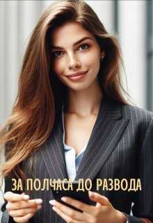 За полчаса до развода - Мира Айрон
